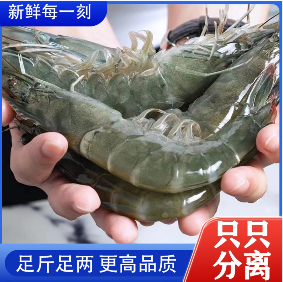 大号2030盐冻大海虾3.3斤新鲜大虾盐冻海水大虾新鲜急冻锁鲜保鲜