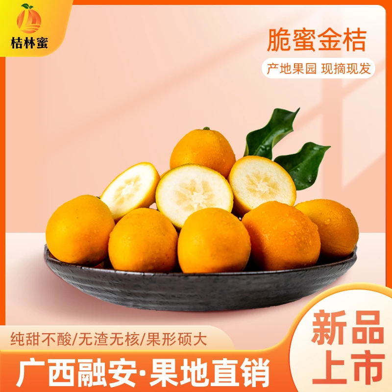 【小贺家脆蜜金桔】广西融安金桔新鲜全甜多汁无籽皮薄果地现摘现发