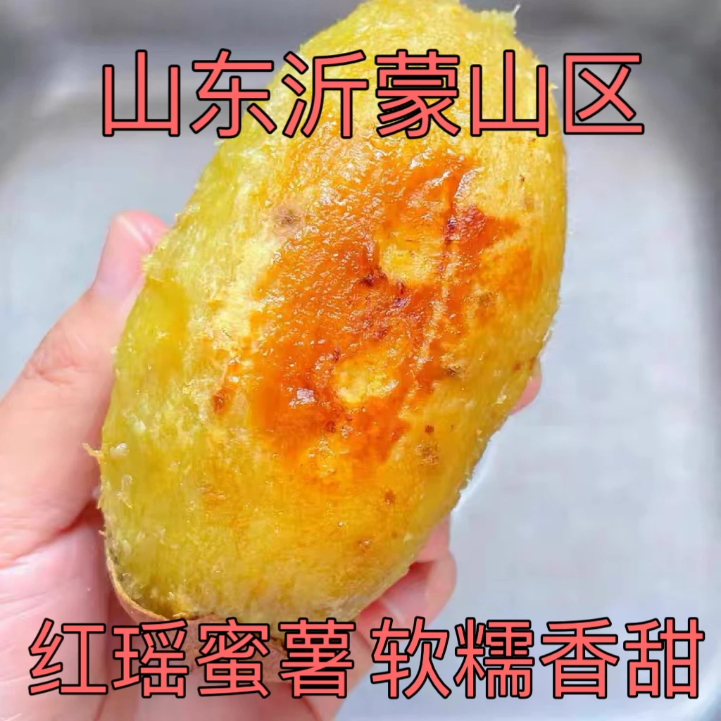 山东红瑶蜜薯软糯香甜当季红薯蜜薯净重5斤粗粮