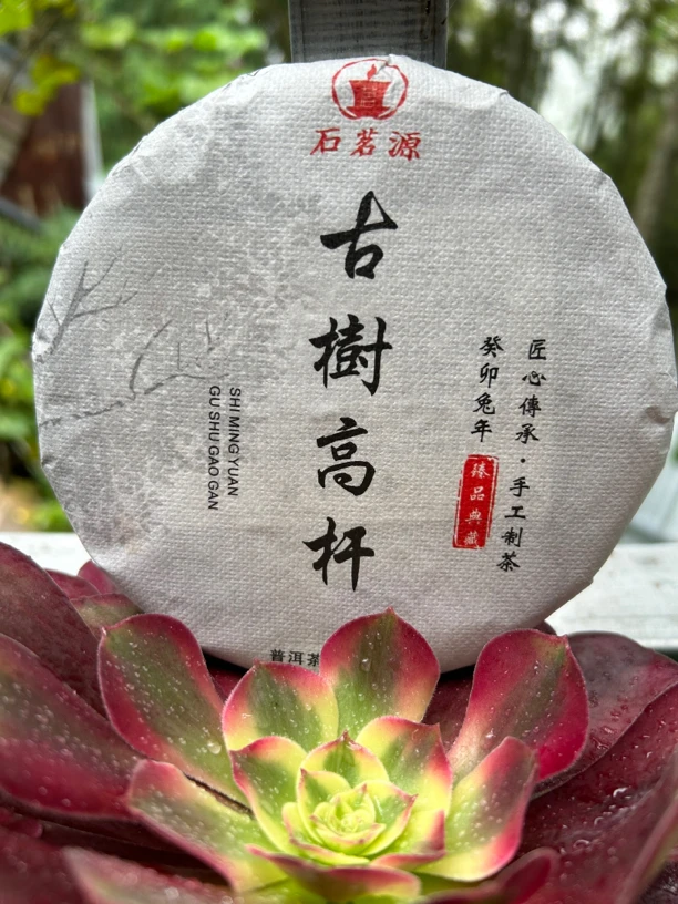 石茗源2023年古树高杆200克饼