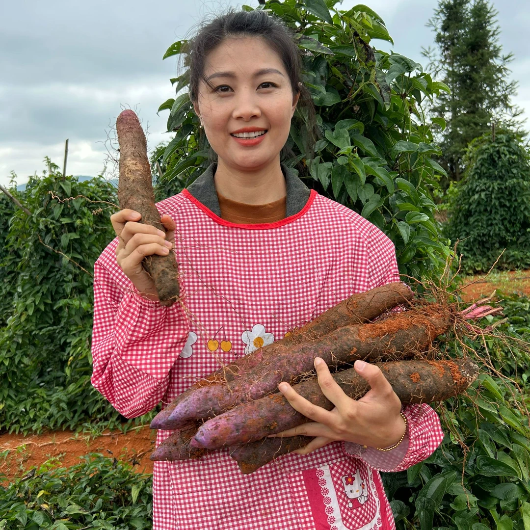 [又粉又面]云南高山种植老品质紫山药产地新鲜现挖现发3/5斤包邮