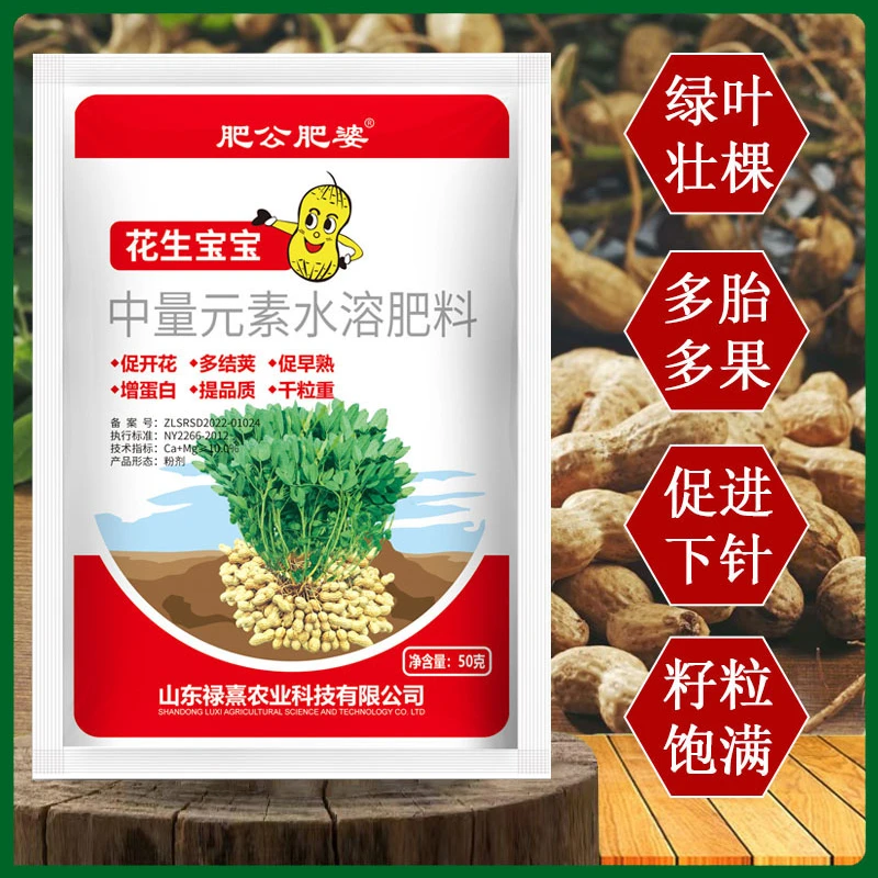 花生饱饱粒粒饱满绿叶壮棵颗粒饱满提高产量多肽加强型叶面肥