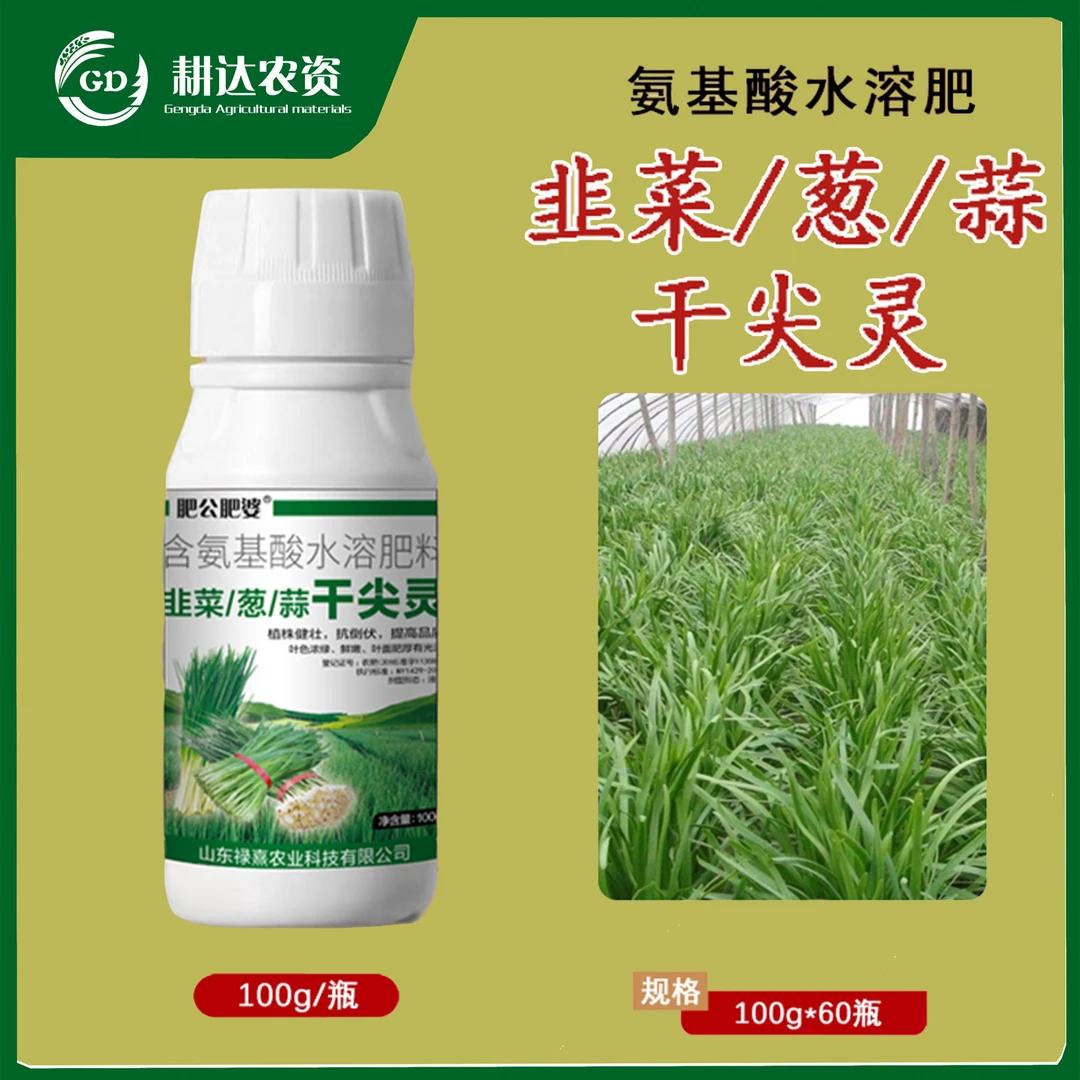 韭菜大葱姜蒜干尖灵大葱蒜姜黄叶烂根干尖死棵专用水溶肥料农肥