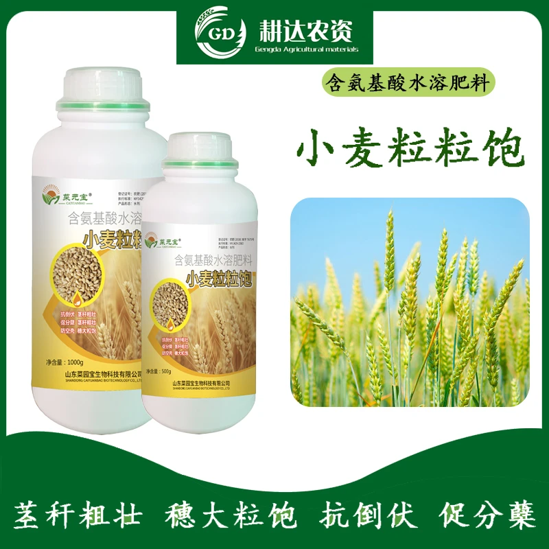 小麦粒粒宝小麦高产专用肥抗倒伏促分蘖灌浆快速返青籽粒饱满农肥