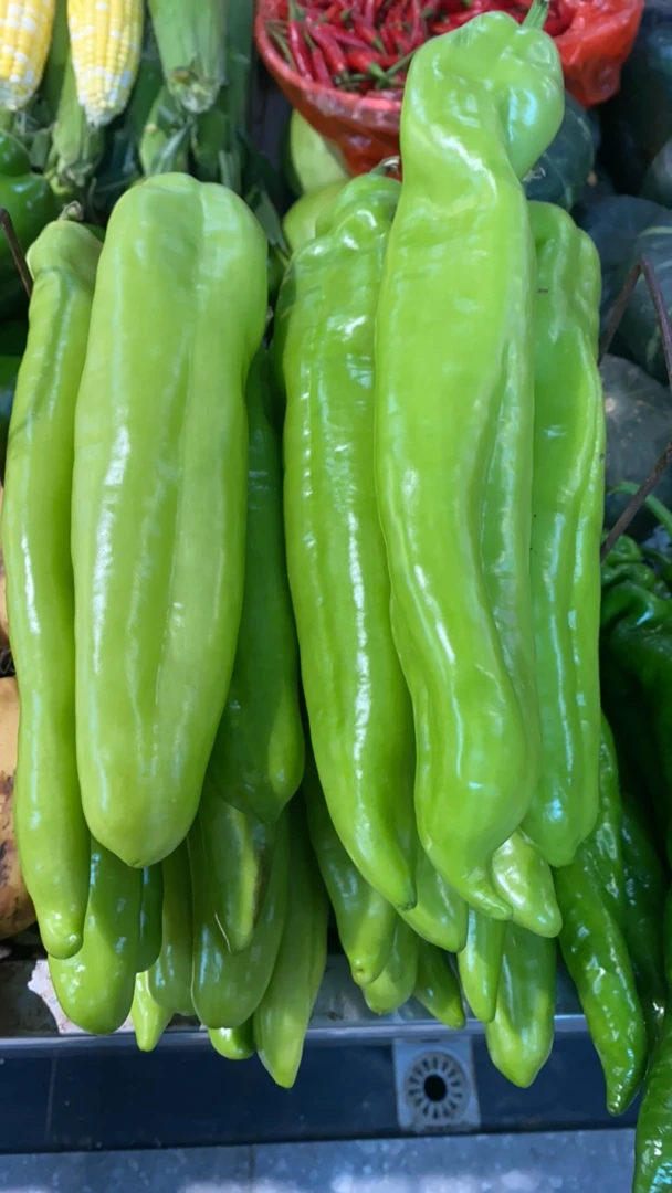 新鲜青尖椒3两1条