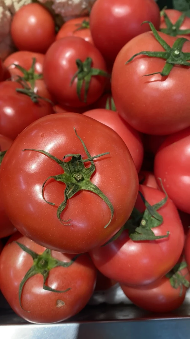 新鲜粉番茄4两1个番茄同城配