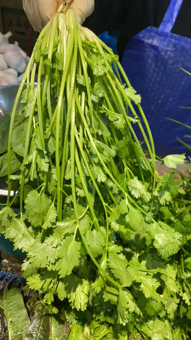 新鲜本地香菜1两1份