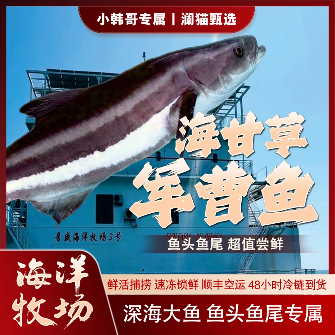 【海南军曹鱼-鱼头鱼尾】军曹鱼鱼头鱼尾海甘草懵仔 1000g 海鱼生鲜