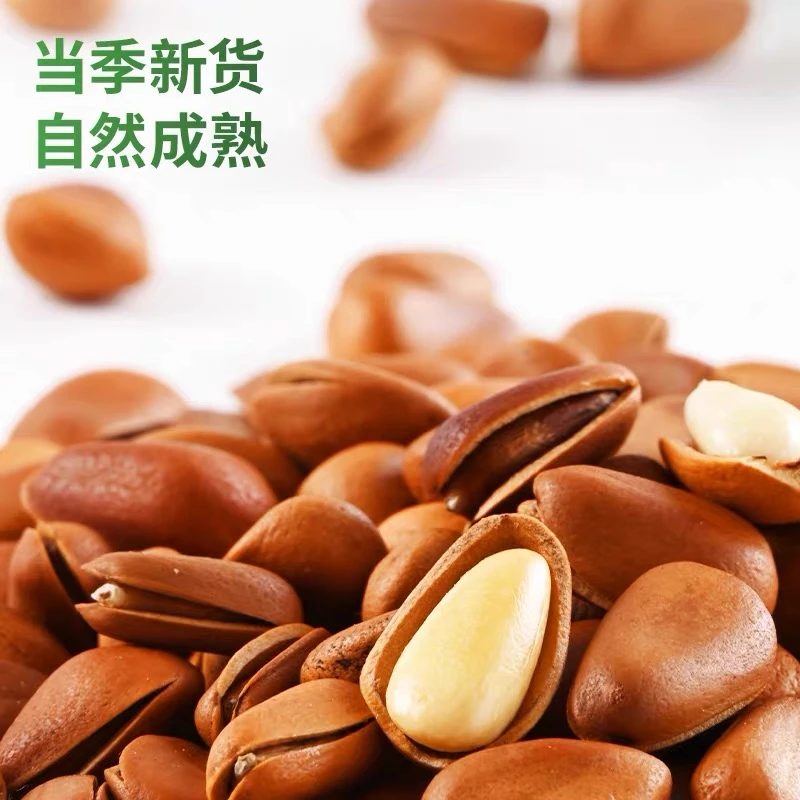 长白山当年开口松子