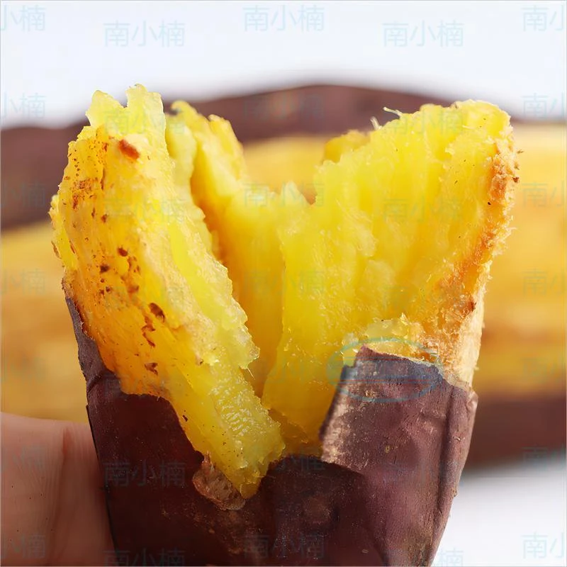 【精选大果】正宗海南榴莲蜜薯软糯香甜好吃3/5斤装果味浓郁地瓜