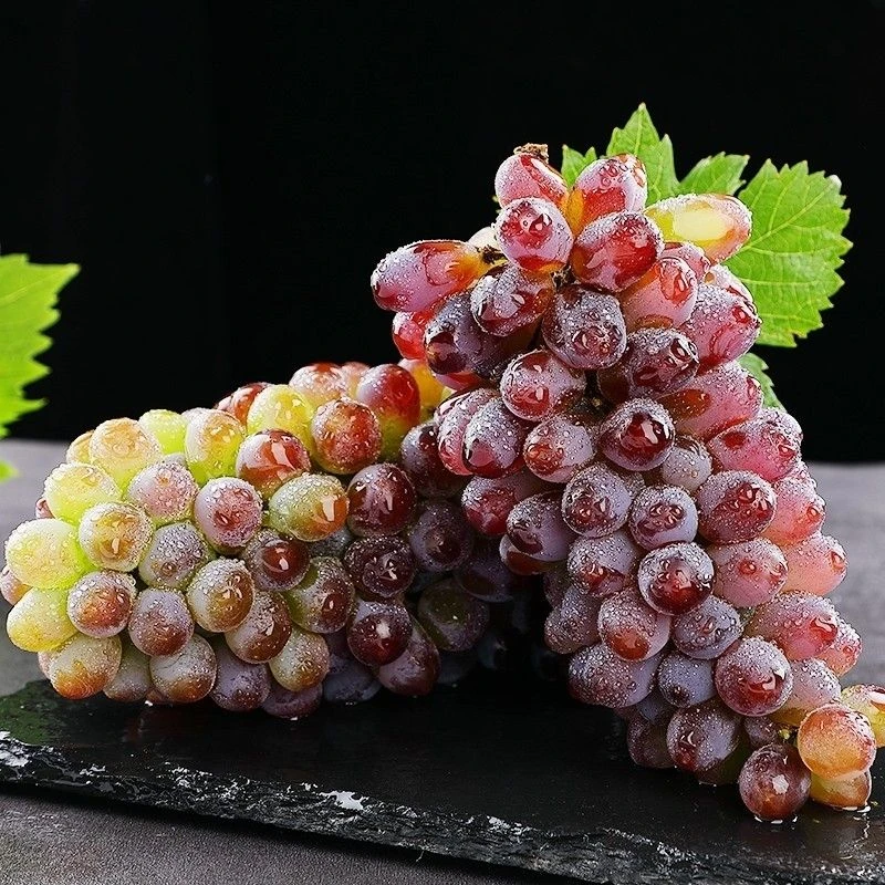 【顺丰包邮】茉莉香葡萄脆甜多汁颗粒饱满新鲜香味2-4斤甜蜜