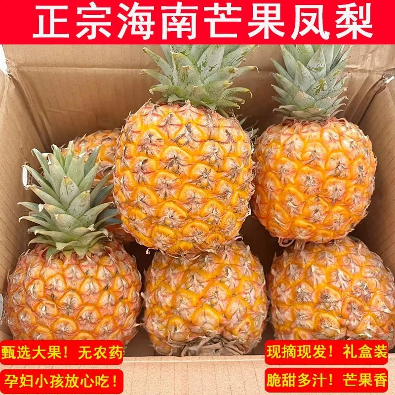 顺丰包邮】海南树上熟芒果凤梨脆甜多汁5-8斤礼盒甄选大果细腻