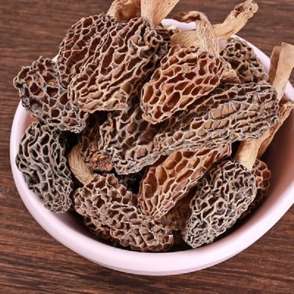 高原羊肚菌野生菌菌菇蘑菇晒干干货食用