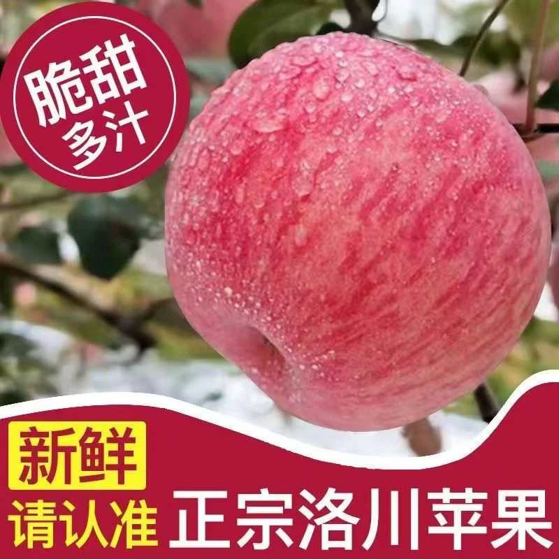 【爆甜】正宗陕西洛川苹果应季水果冰糖心苹果新鲜包邮整箱3/5/9斤
