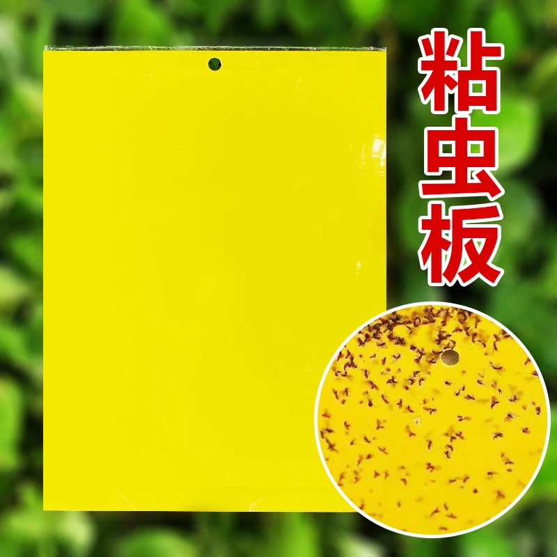 黄色粘虫板双面诱虫板大棚果园灭虫板防虫板小飞虫果蝇蓟马诱捕器