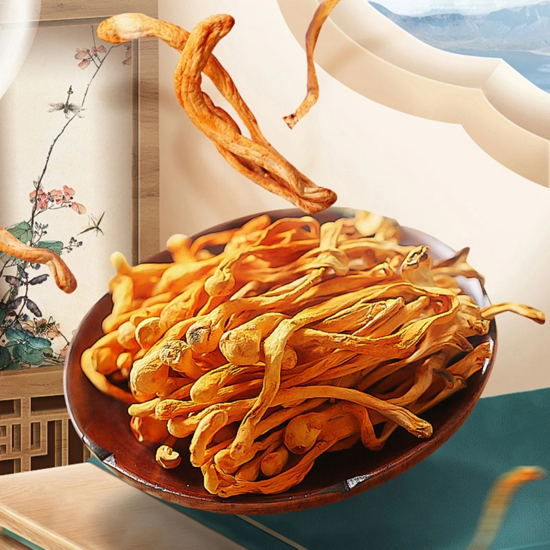 【秋野山货】云南农家——金虫草花、排草——方便食用散装无添加