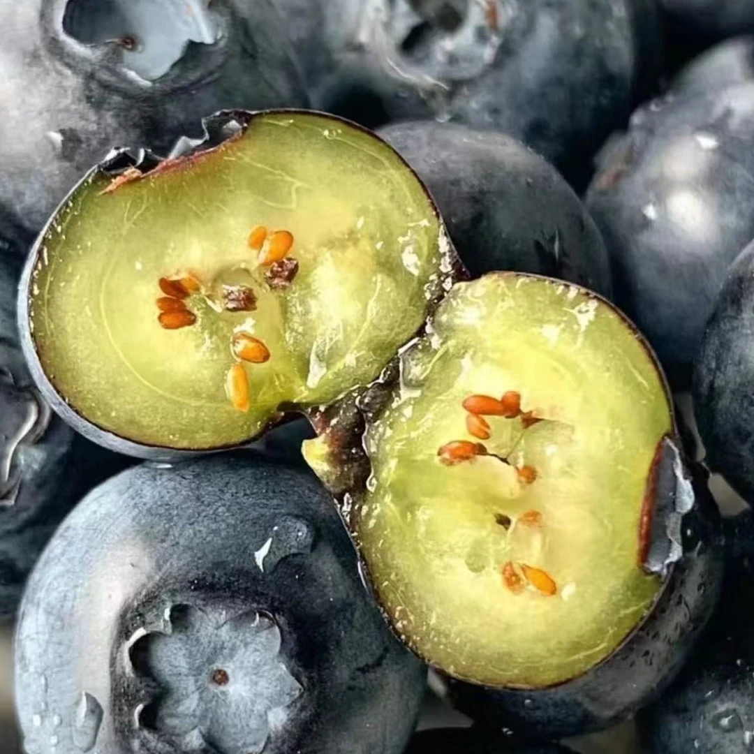 【甜小妹甄选】22+蓝莓250g19.8两盒