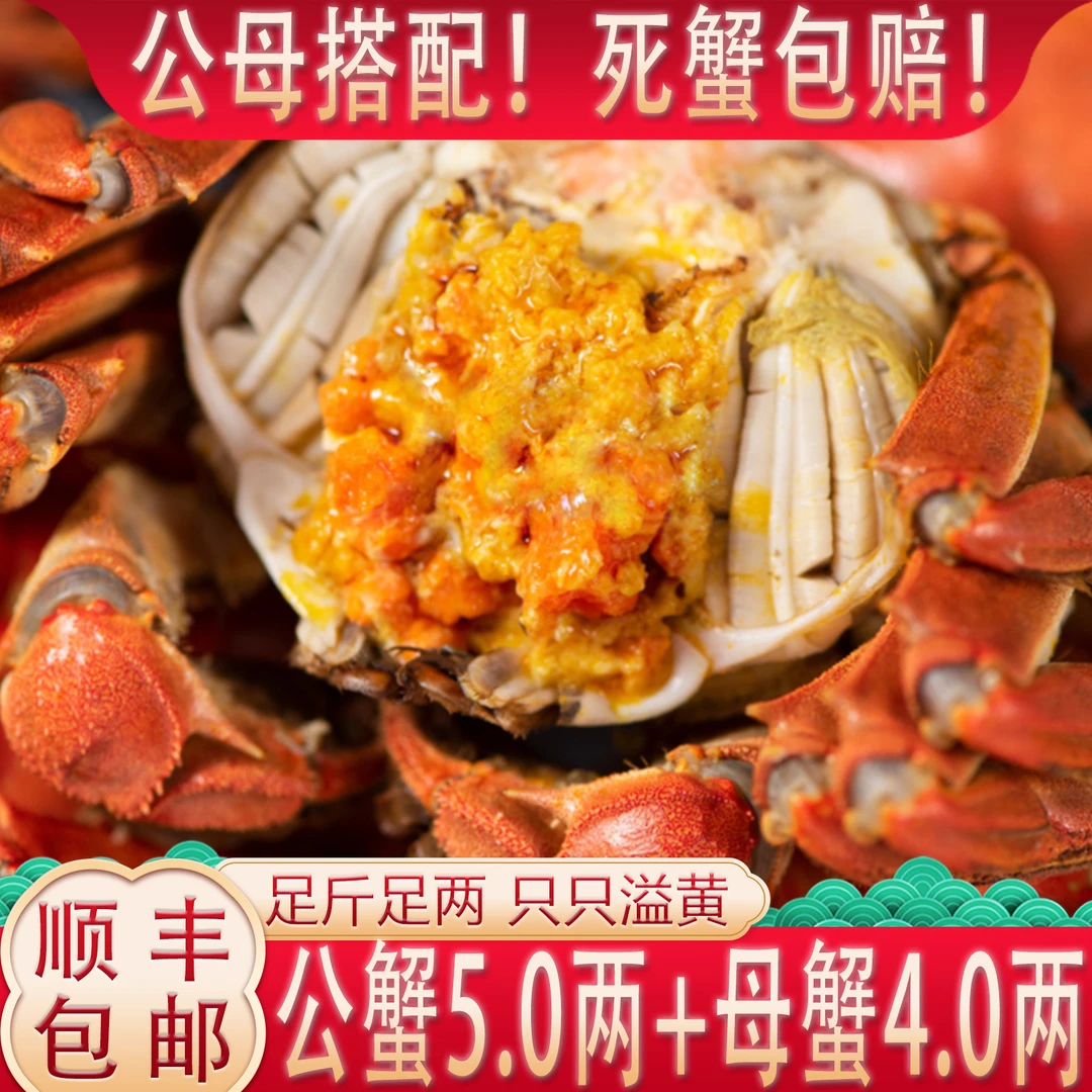 【活蟹】公5.0两+母4.0两【公母搭配】【爆黄】8只 固城湖大闸蟹T8