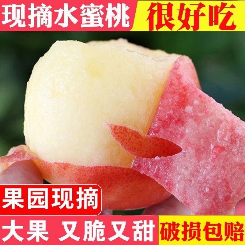 【顺丰包邮】正宗砀山水蜜桃桃子脆桃新鲜水果3斤5斤现摘现发