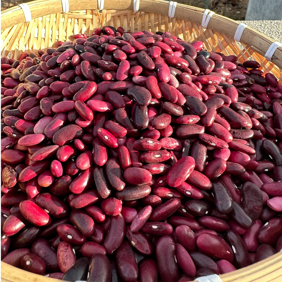 云南农村红腰豆（老红豆）