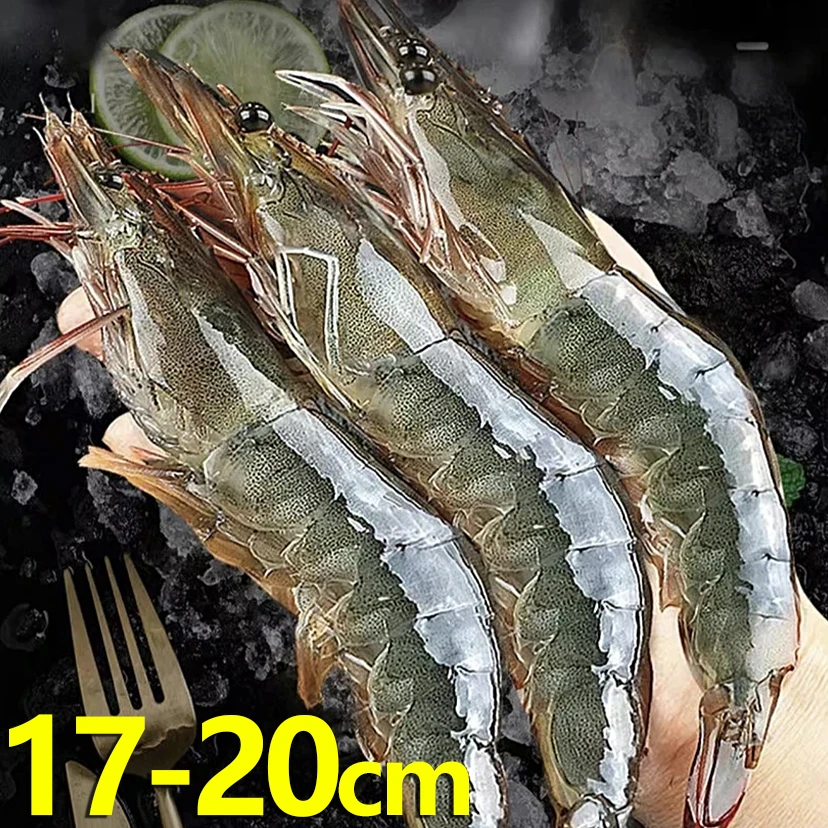 海洋大虾约17-20cm/只 到手3斤约40-51只 活虾速冻非活发