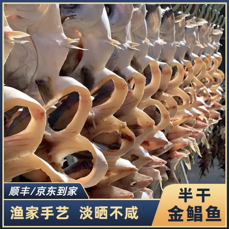 半干金鲳鱼 广东特产淡口金鲳鱼 200-225g/条