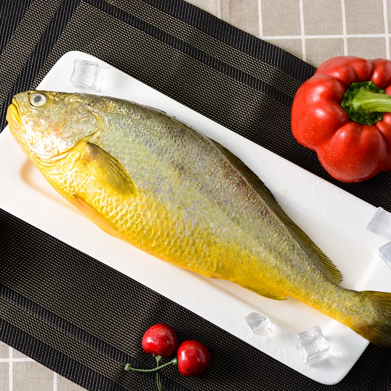 6条新鲜大黄花鱼到手4.2斤  活鱼速冻原条不杀 6-7两左右/条