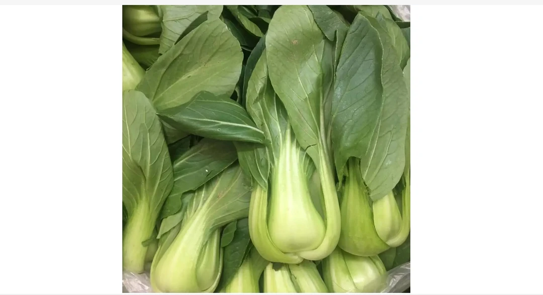 糖菜约一斤
