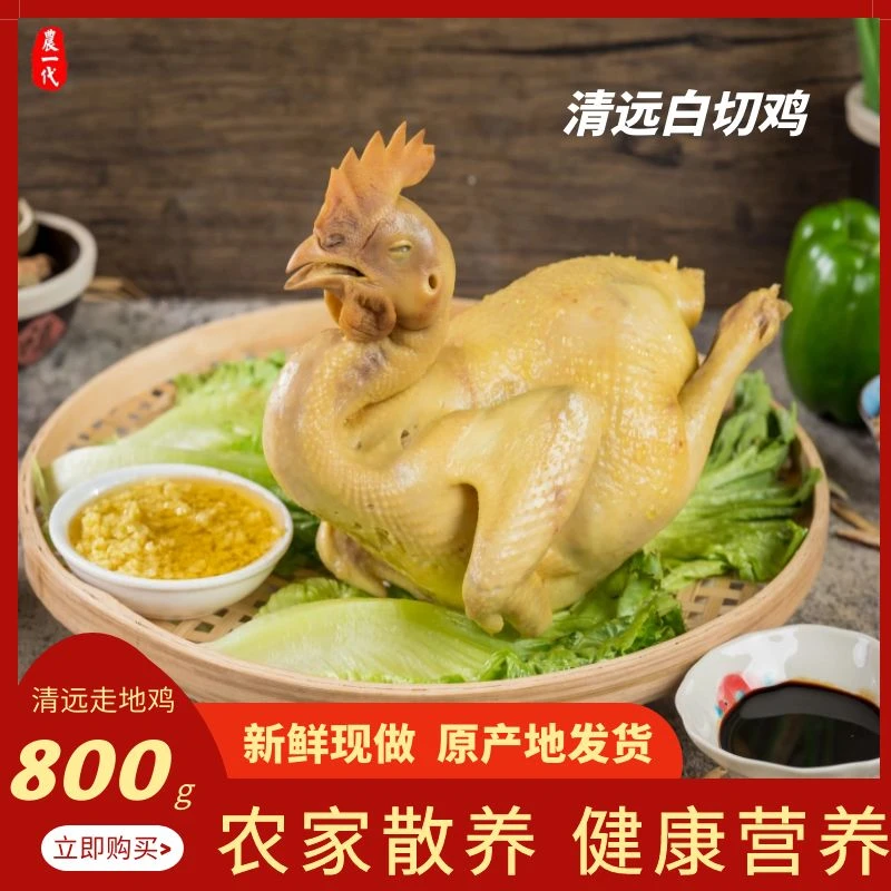 【宠粉】散养正宗清远鸡整只即食手撕白切鸡手撕走地鸡800g