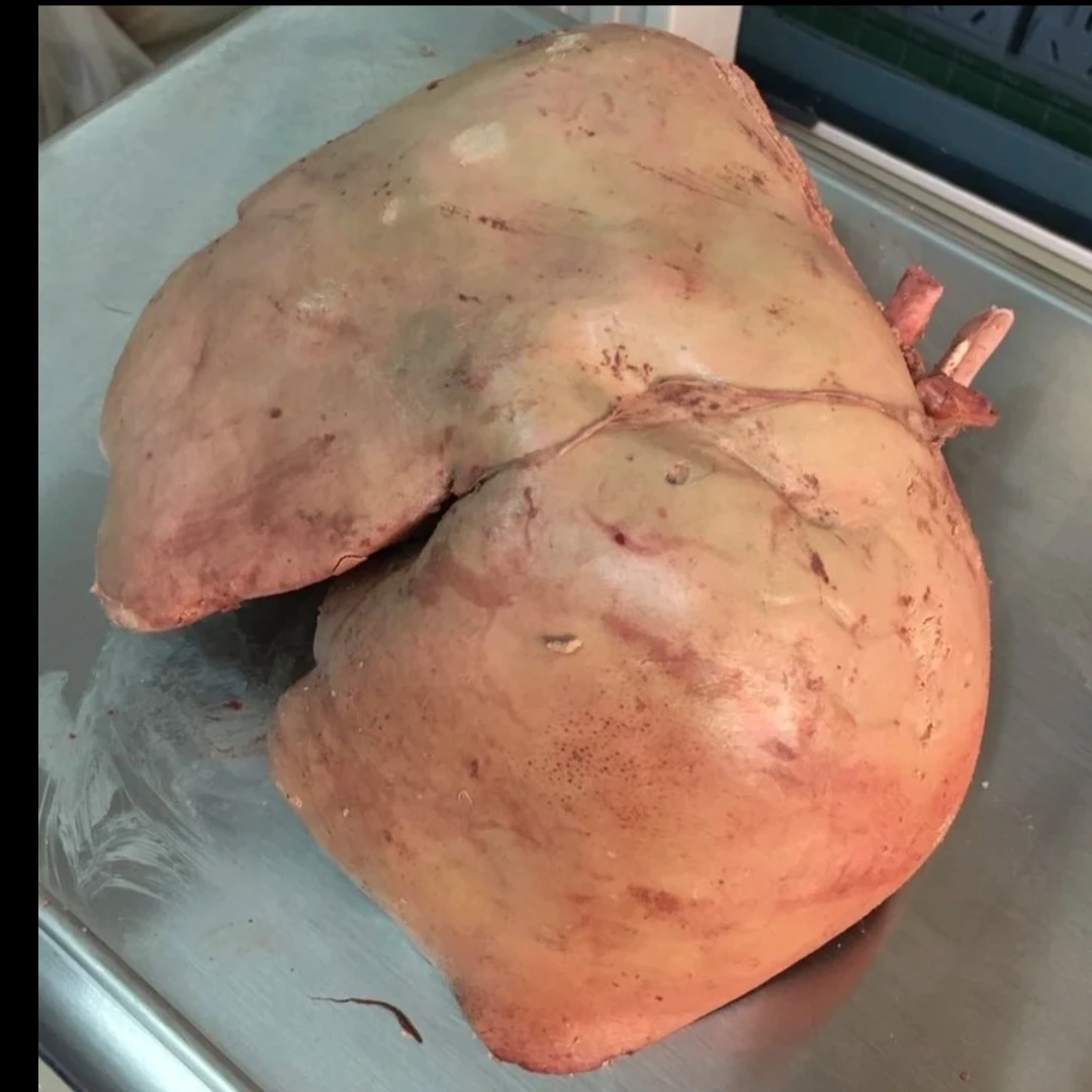 羊肝500g