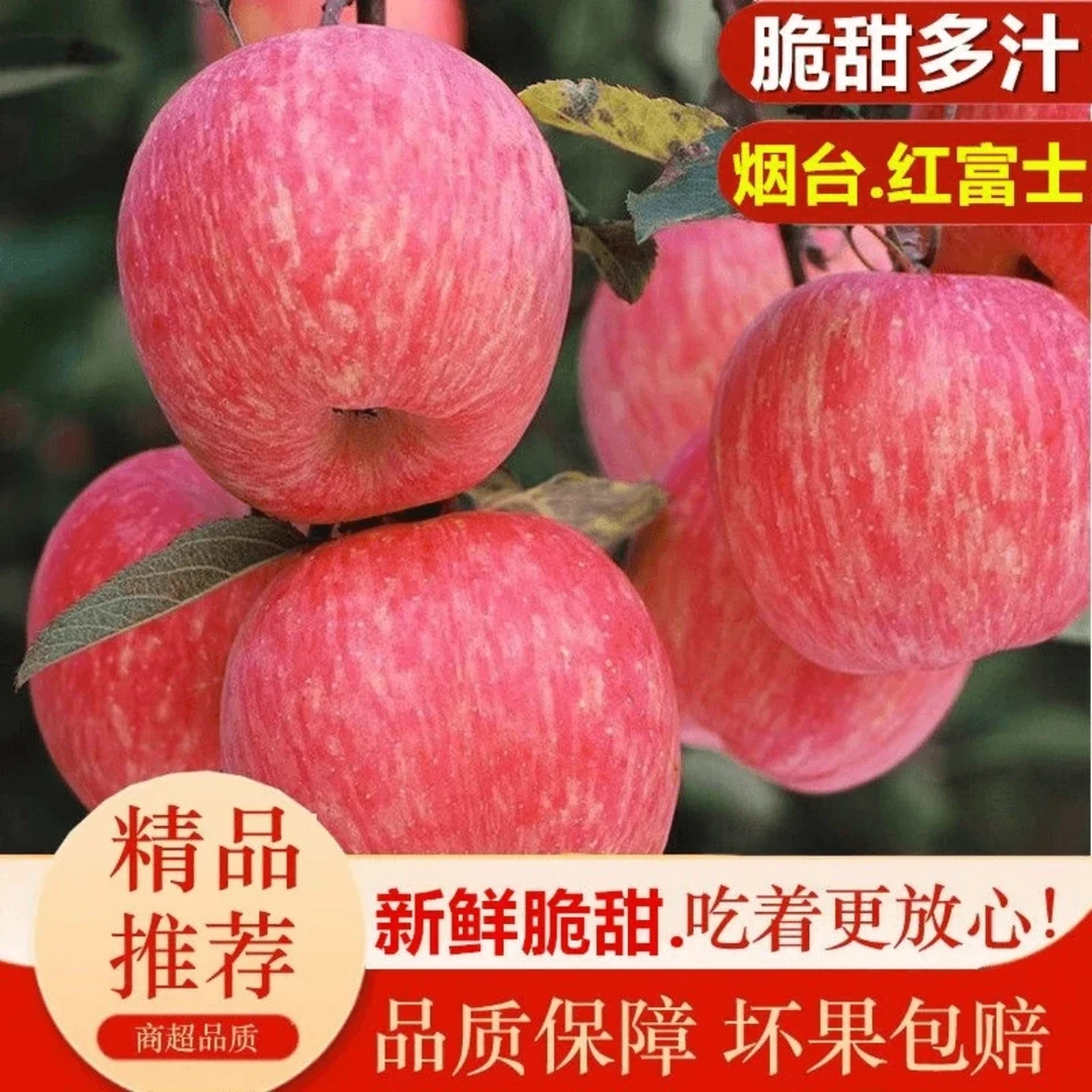 山东烟台栖霞红富士苹果水果新鲜整箱包邮应当季冰糖心栖霞苹果脆
