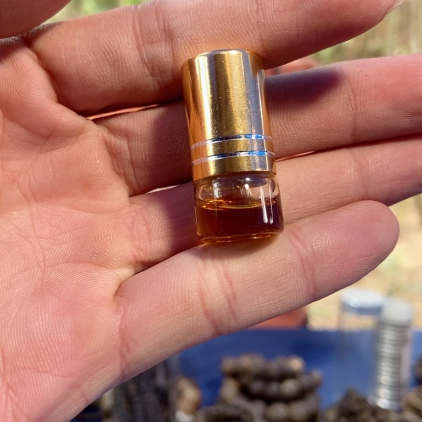 【闪购商品】棋楠沉香精油1克装