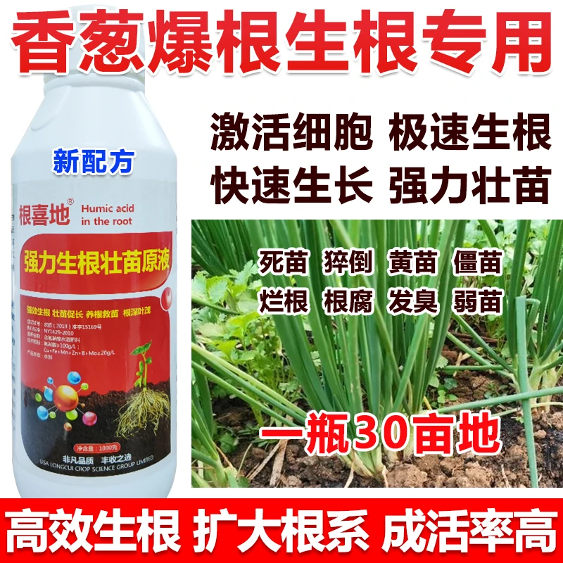 爱丰收香葱生根剂植物生根液快速生根粉强力生根剂生根壮苗香葱原