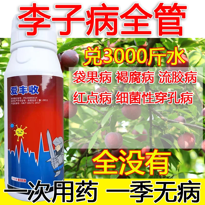 李子病全管李子专用袋果病细菌性穿孔病褐腐病流胶病红点病