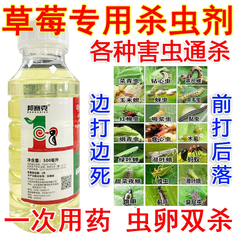 爱丰收草莓专用杀虫剂甲维盐氯氰草莓虫害叶螨蚜虫红蜘蛛斜纹夜蛾