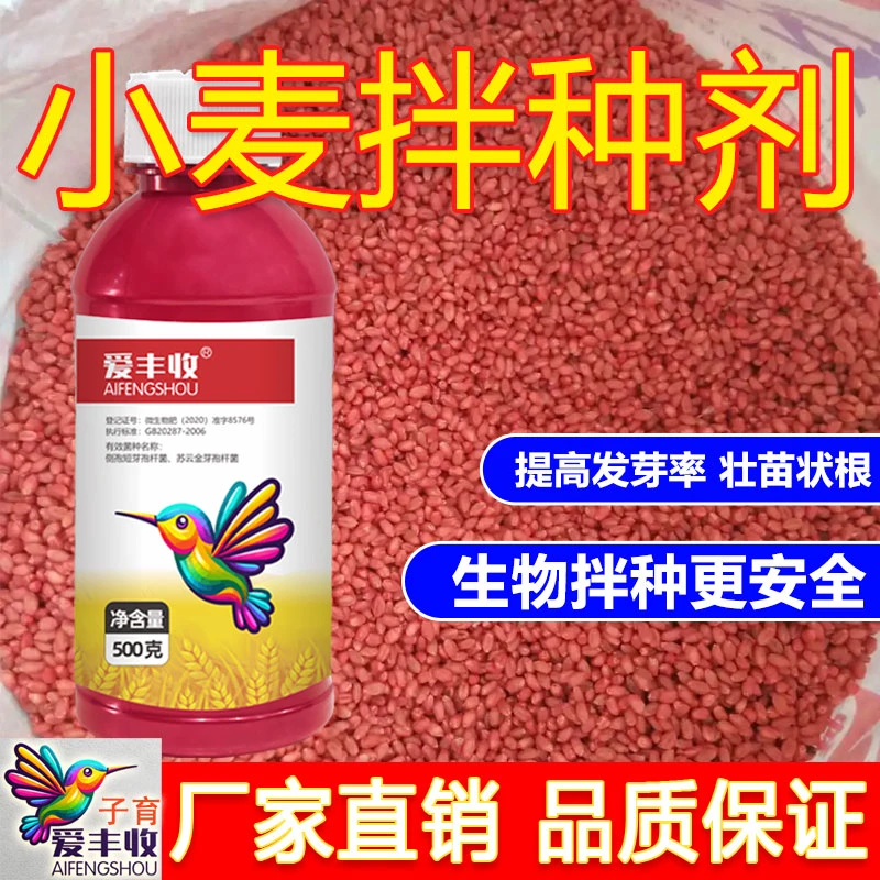 爱丰收小麦拌种生根壮苗高产包衣剂微生物菌剂小麦拌种专用