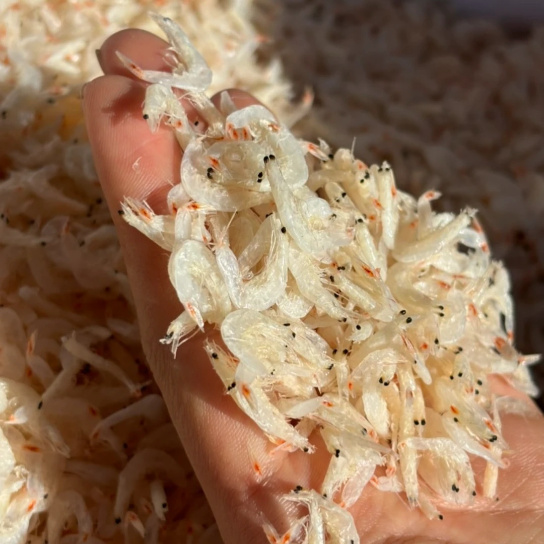 山东荣成烘干 大虾皮（秋天新虾皮）冷冻保存