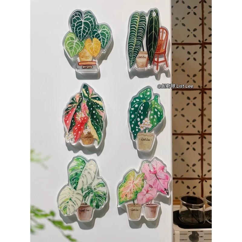 2023新款冰箱贴磁贴个性创意 高级感高颜值 隐形强力磁正反可吸