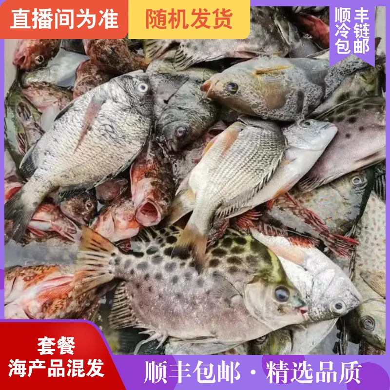 新鲜野生杂鱼组合套餐（10斤）海产组合套餐新鲜速冻顺丰冷链
