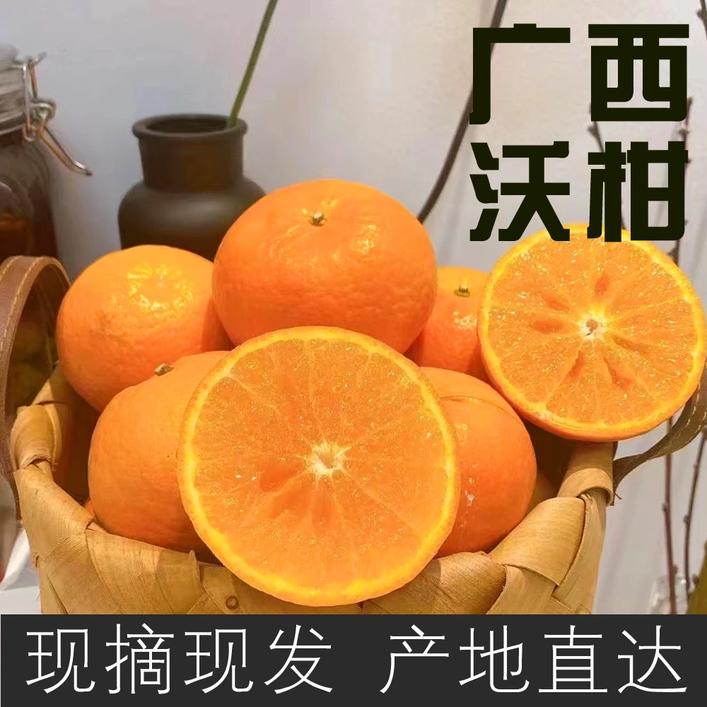 广西天等沃柑9斤装净重中小果新鲜水果橘子现摘现发