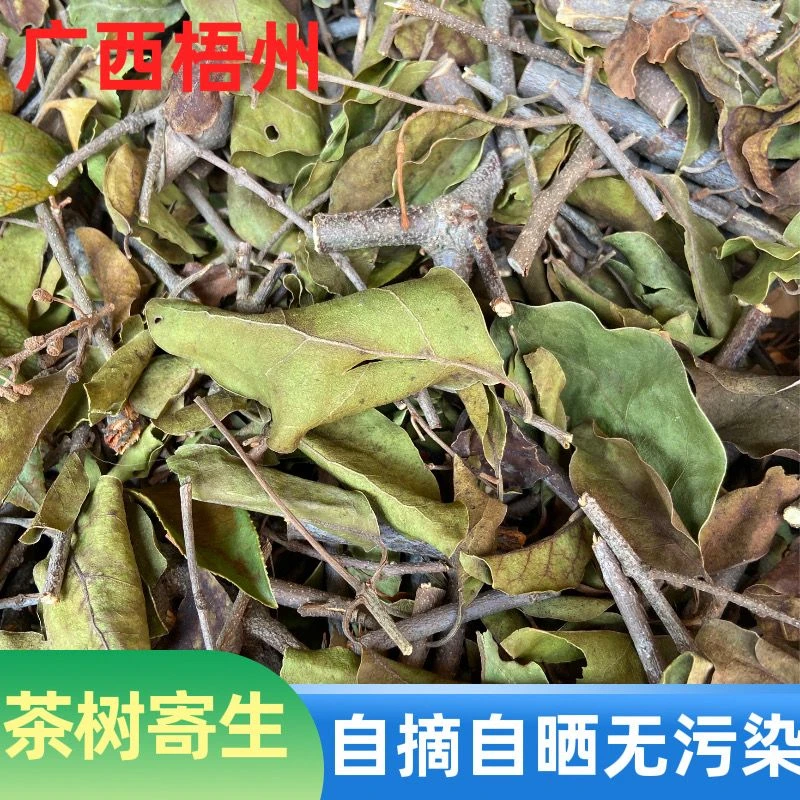 广西食用寄生干品500克新晒茎叶其他寄生备注
