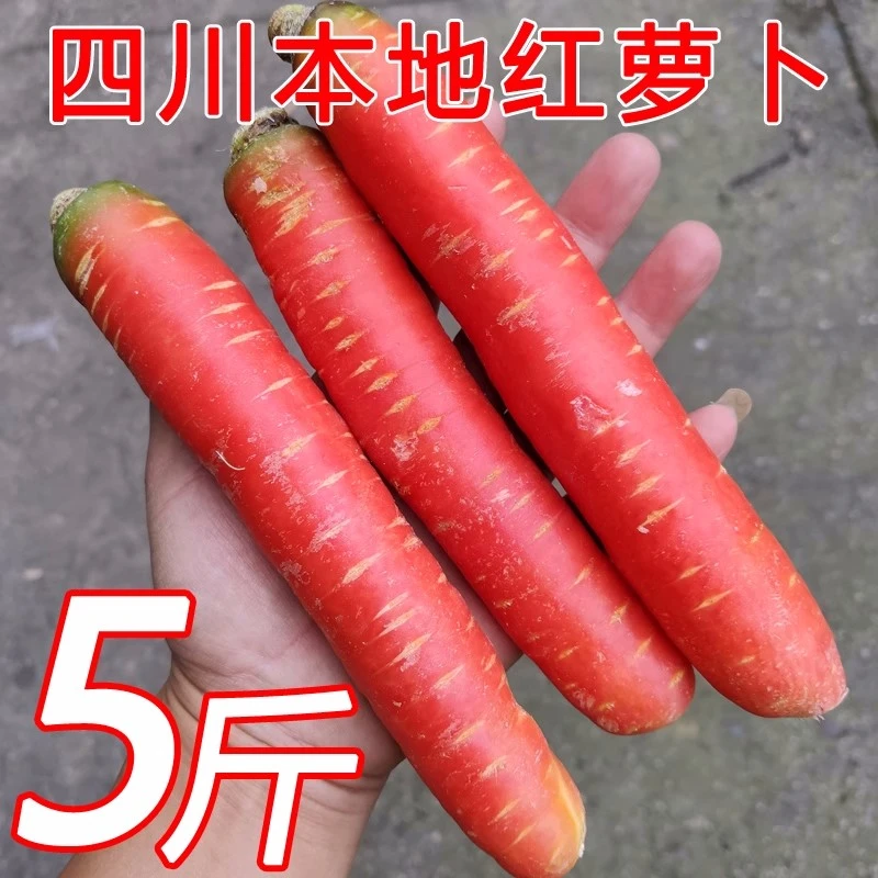 四川农家新鲜红萝卜胡萝卜红皮萝卜营养3/5/9斤清甜食用脆嫩蔬菜