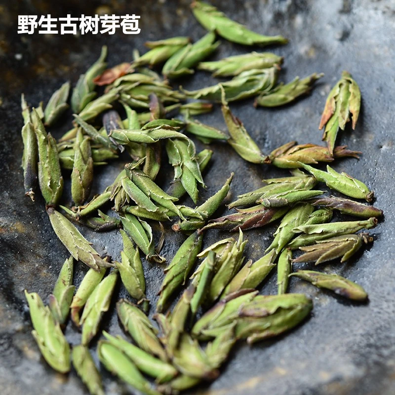 2024年春茶绿芽苞茶古树白茶芽苞云南野生白茶古树芽孢茶清香鲜甜