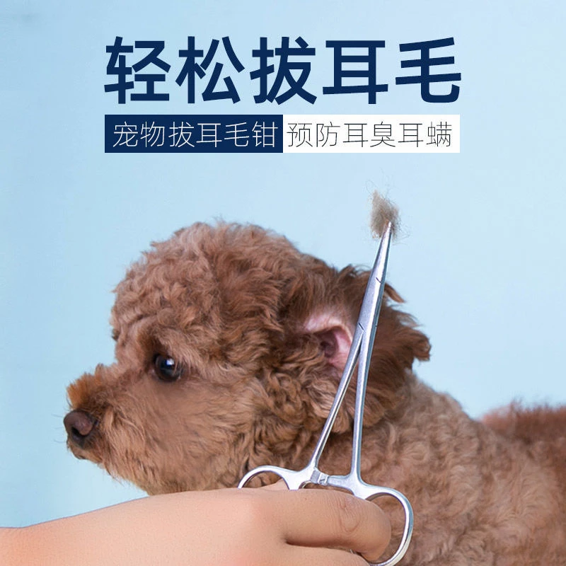 狗狗宠物拔耳毛钳耳朵拔毛掏耳神器泰迪猫耳痒钳子挖耳朵清洁用品