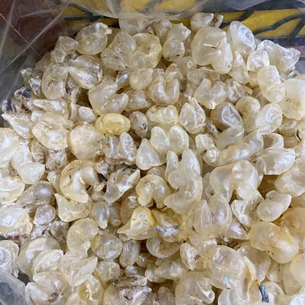 鸡泡胶，统货，小个，一份50克