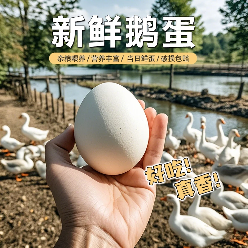 单枚120g左右⭐新鲜鹅蛋12枚农家散养生态活水散养孕妇孩子吃