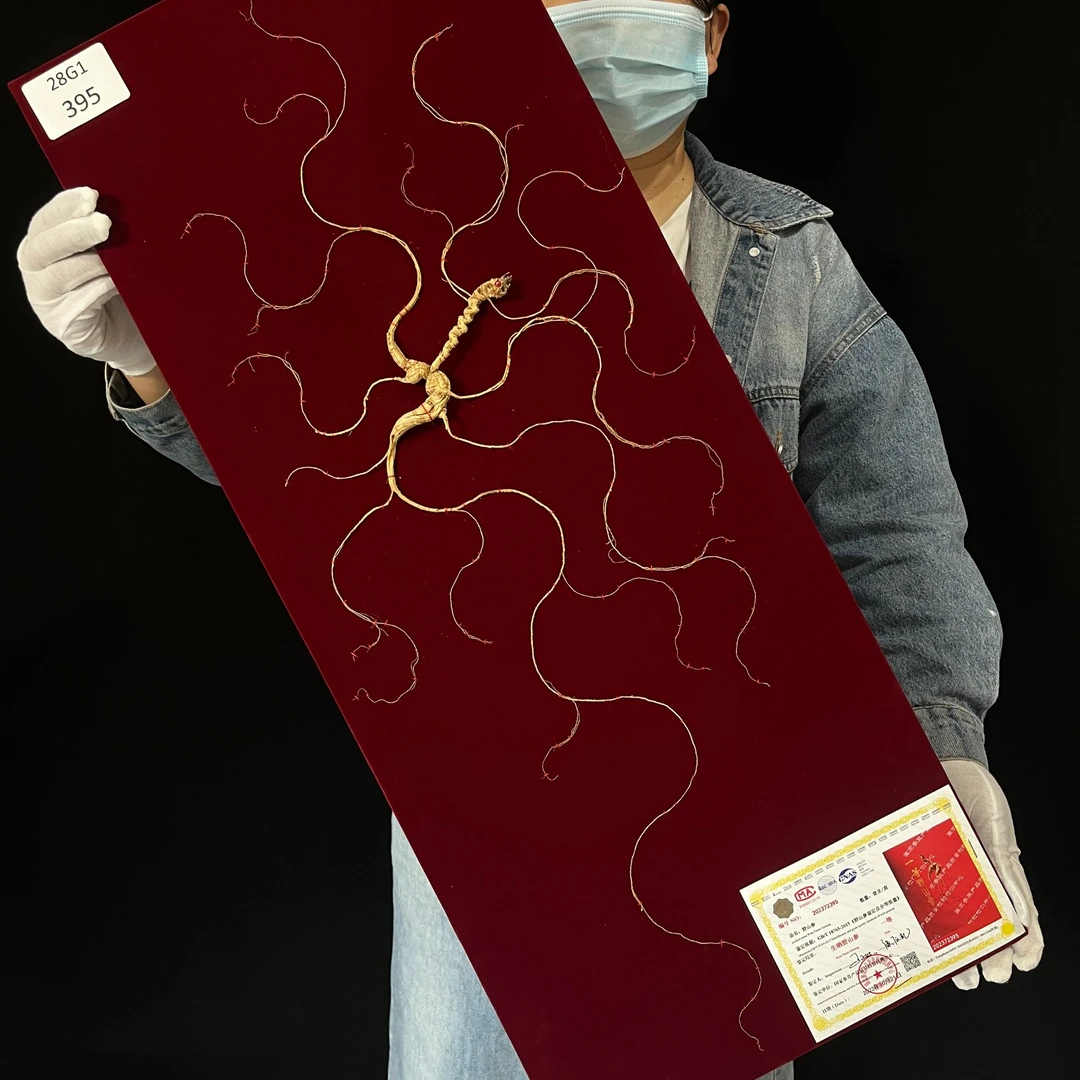 东北长白山生晒野山参人参80厘米礼盒国检一等证书送礼包邮