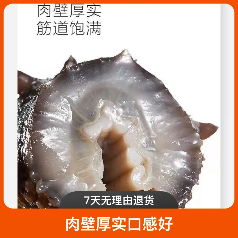 九月印象【宠粉福利】即食海参500g/袋源自深海肉质紧实开袋即食