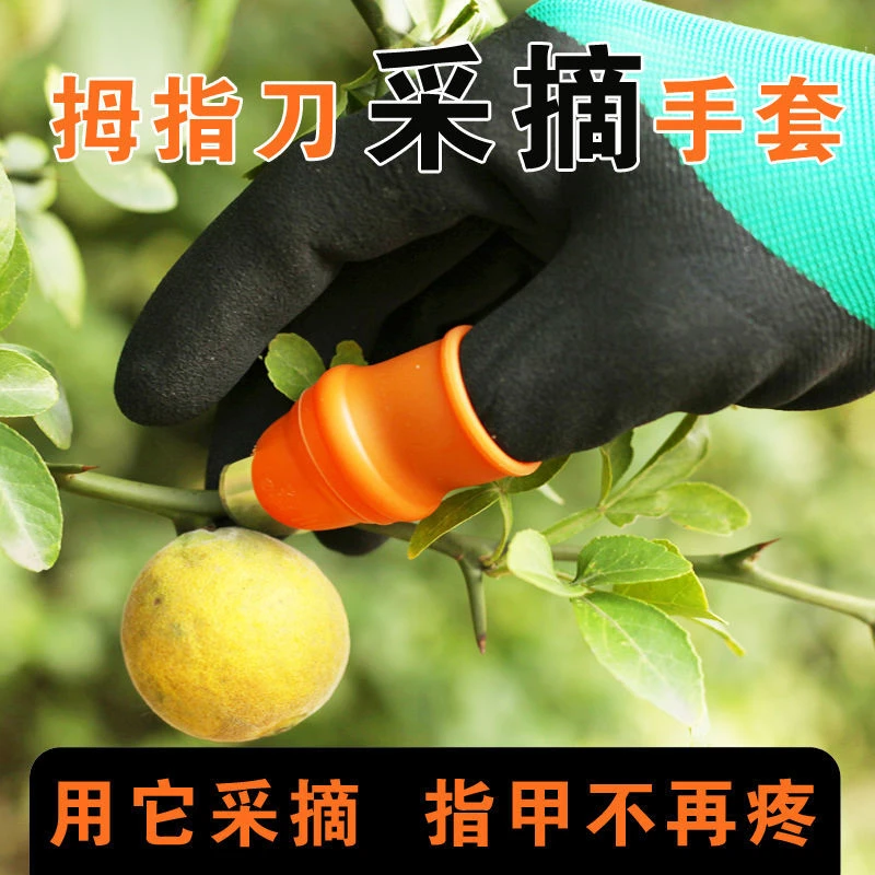 采摘花椒防护护手指成人拇指刀手套不锈钢刀头护手防扎大号小号