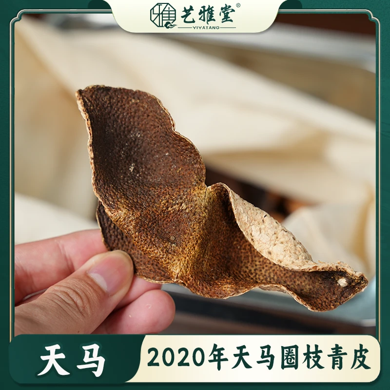 【圈枝青皮】正宗新会2020年天马圈枝青皮新会陈皮一线产区